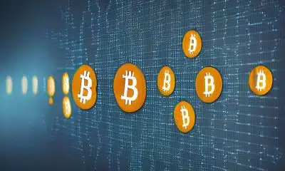 Bitcoin whales' action at the back of FTX episode has some tips for you
