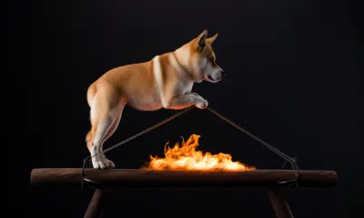 Shiba Inu’s burn rate drops in 2024 while price surges; should investors worry? 